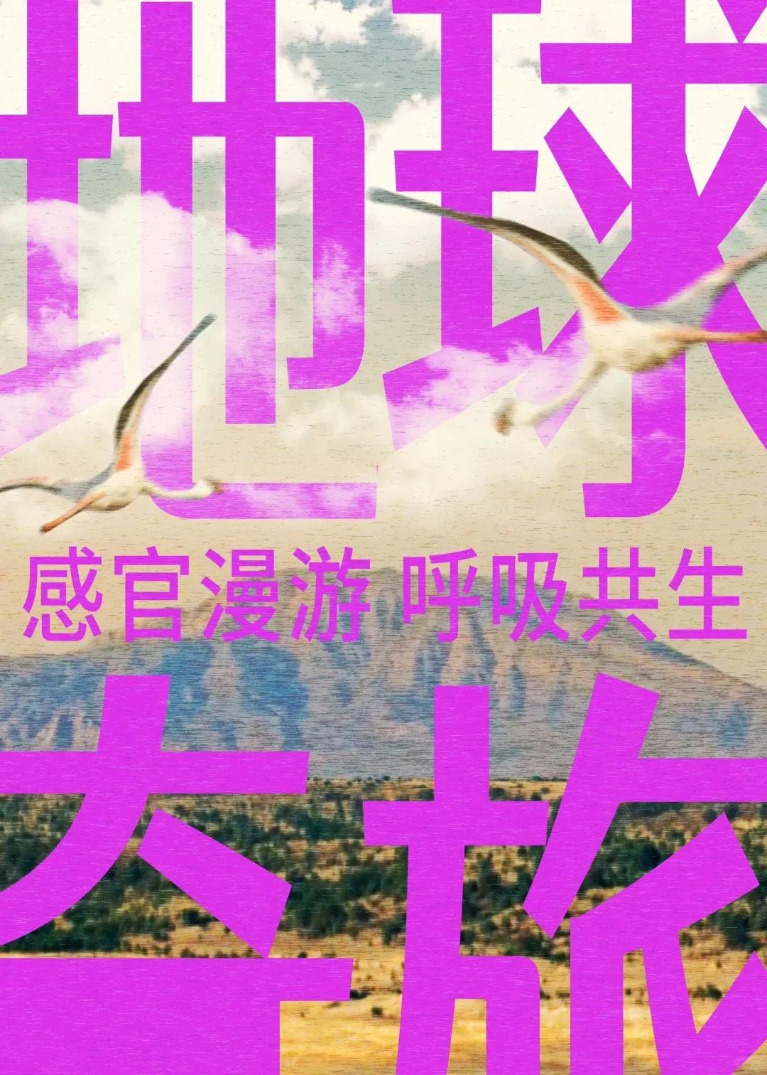 一场地球奇旅，唤醒感官，重启对世界的感知